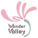 Wonder Valley