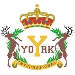 York Montessori International - Water Street
