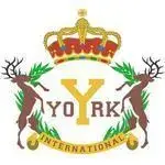 York Montessori International - Water Street